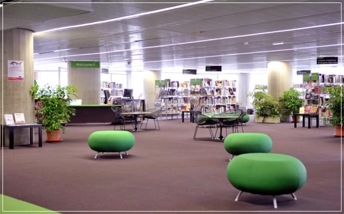 bibliothèque Meriadeck