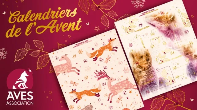 calendrier de l’avent aves france
